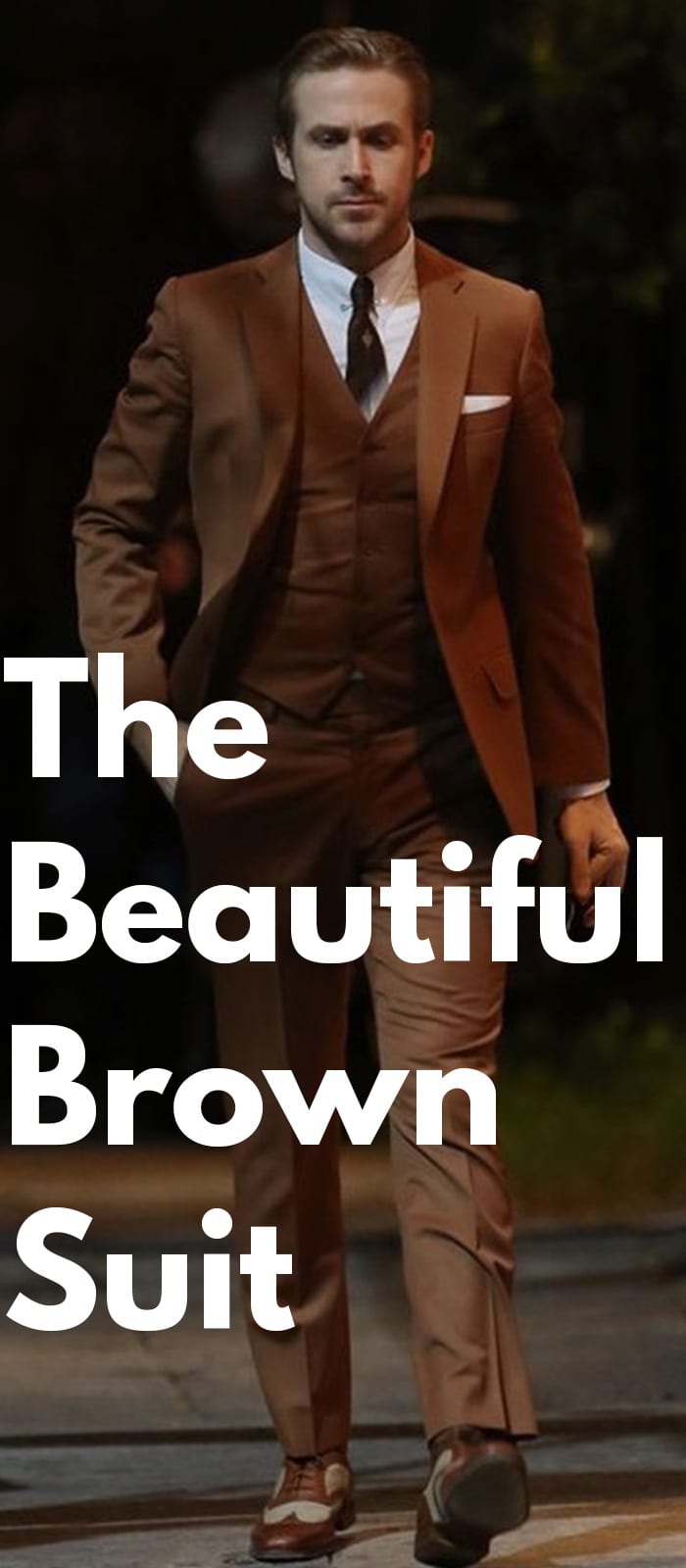 The Beautiful Brown Suit The Beautiful Brown Suit