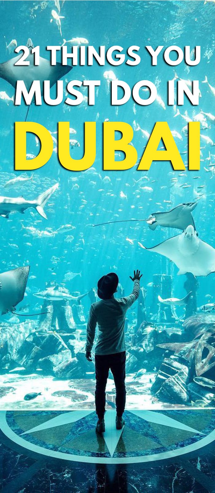 dubai mall aquarium - entry fees online booking package