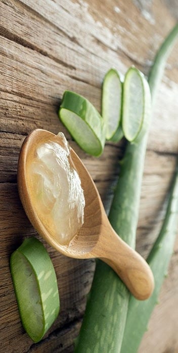 Aloe Vera Gel For Acne Scar Removal For Men Aloe Vera Gel For Acne Scar Removal For Men