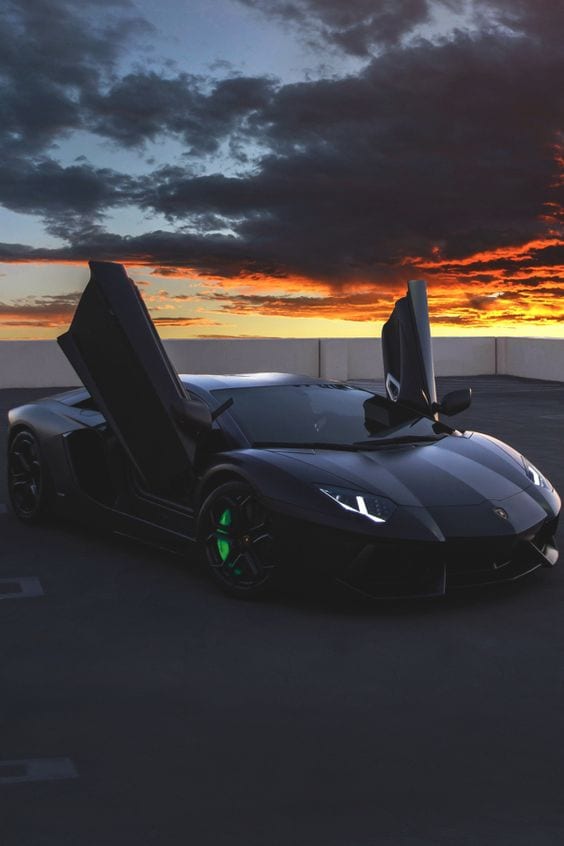 LAMBORGHINI BLACK MATTE OPEN DOOR